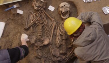 New secrets of human evolution unlocked in study of ancient DNA from Europe and Near East