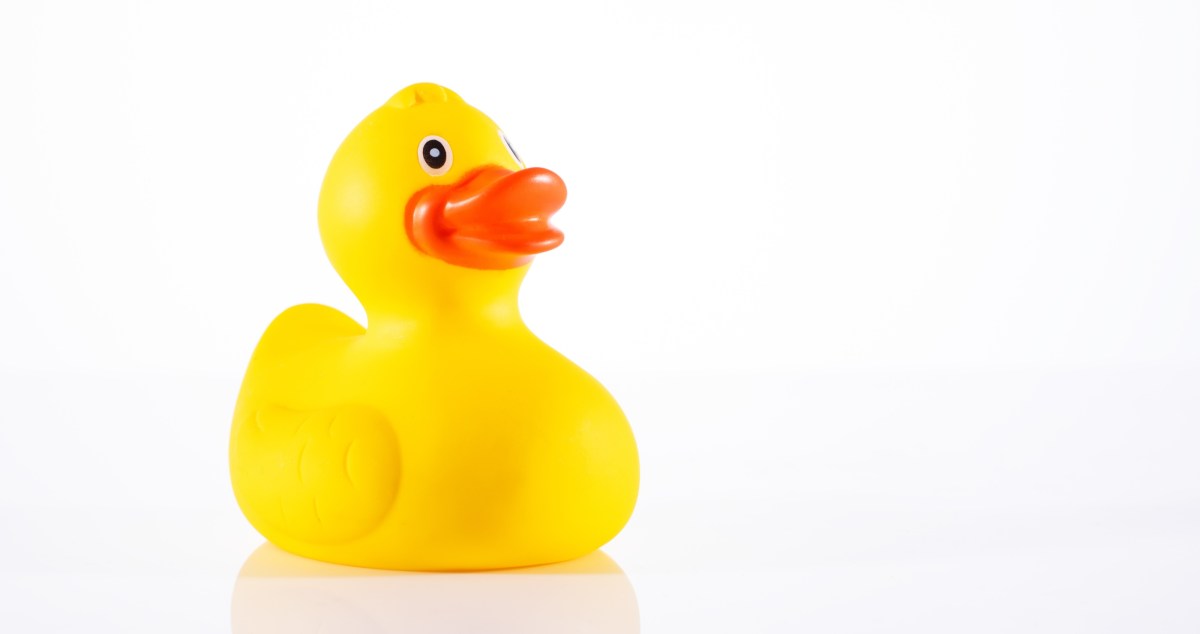 Adorable Online Video Shows Just How Much This Aquarium Seal Loves His Duckie