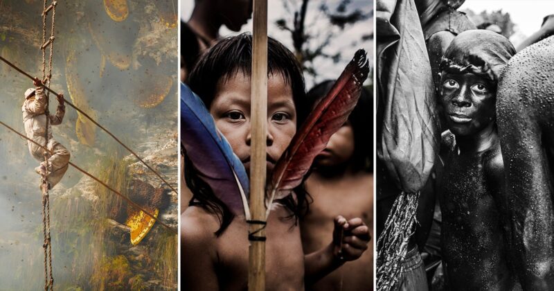 A triptych of photos: left, a person climbs a rope ladder in a misty forest; center, an Indigenous child holds colorful feathers, gazing ahead; right, a person with painted skin stands among a crowd, looking at the camera.