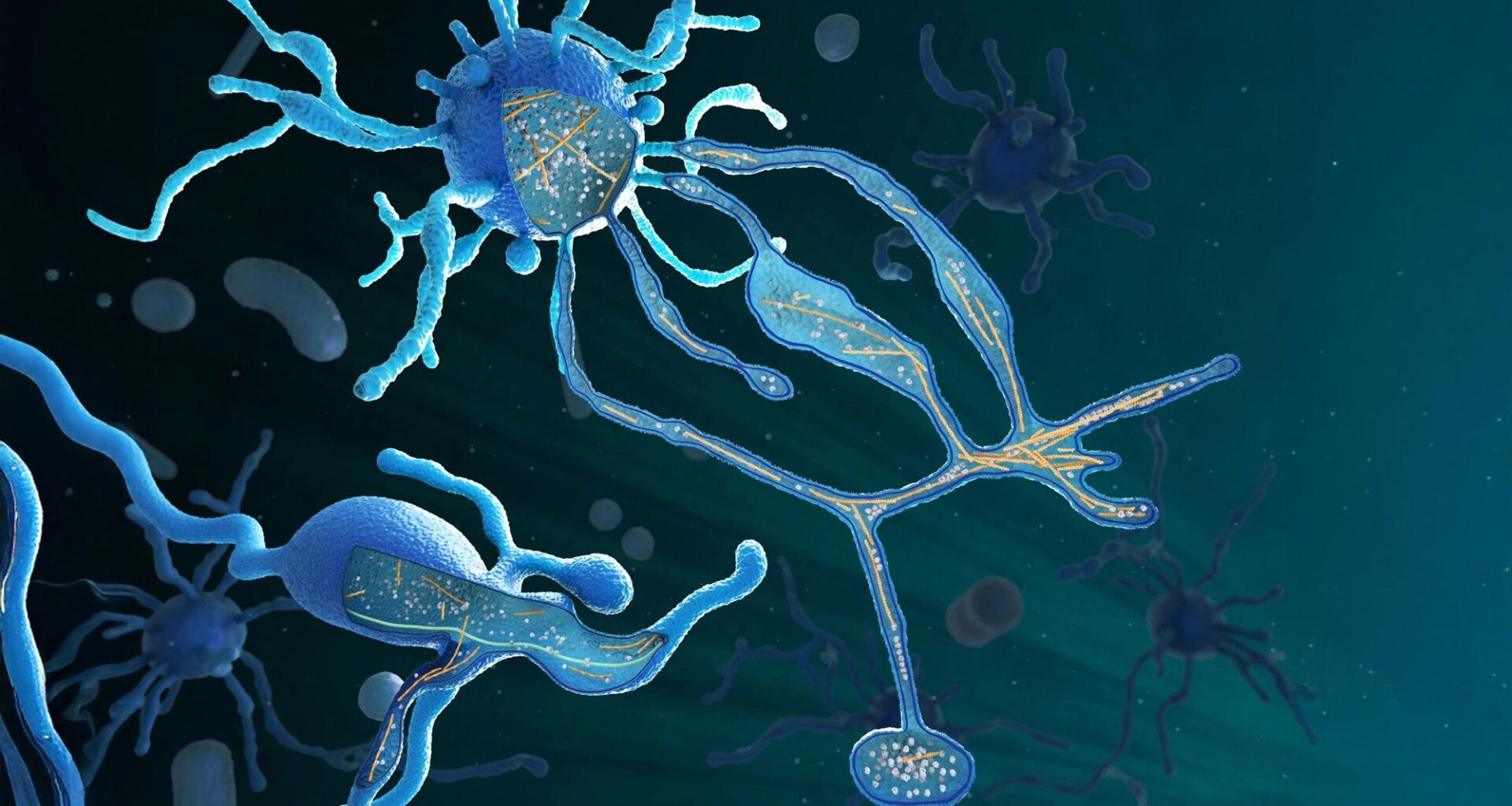 Newly discovered Asgard microbe could explain the origins of complex life on Earth