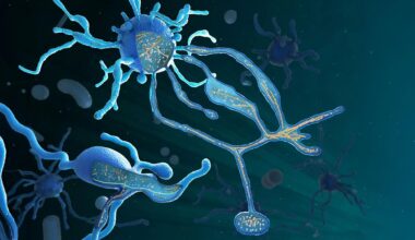 Newly discovered Asgard microbe could explain the origins of complex life on Earth