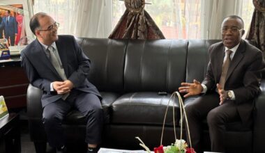 Cameroon introduces stricter gold mining conditions, targets foreign firms in crackdown