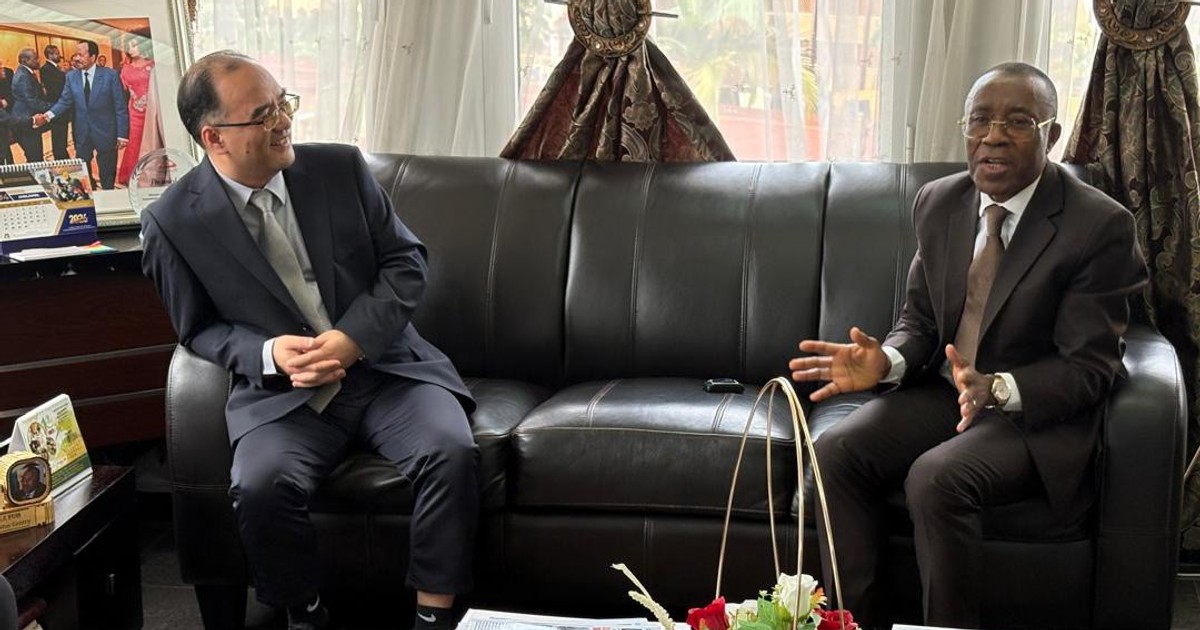 Cameroon introduces stricter gold mining conditions, targets foreign firms in crackdown