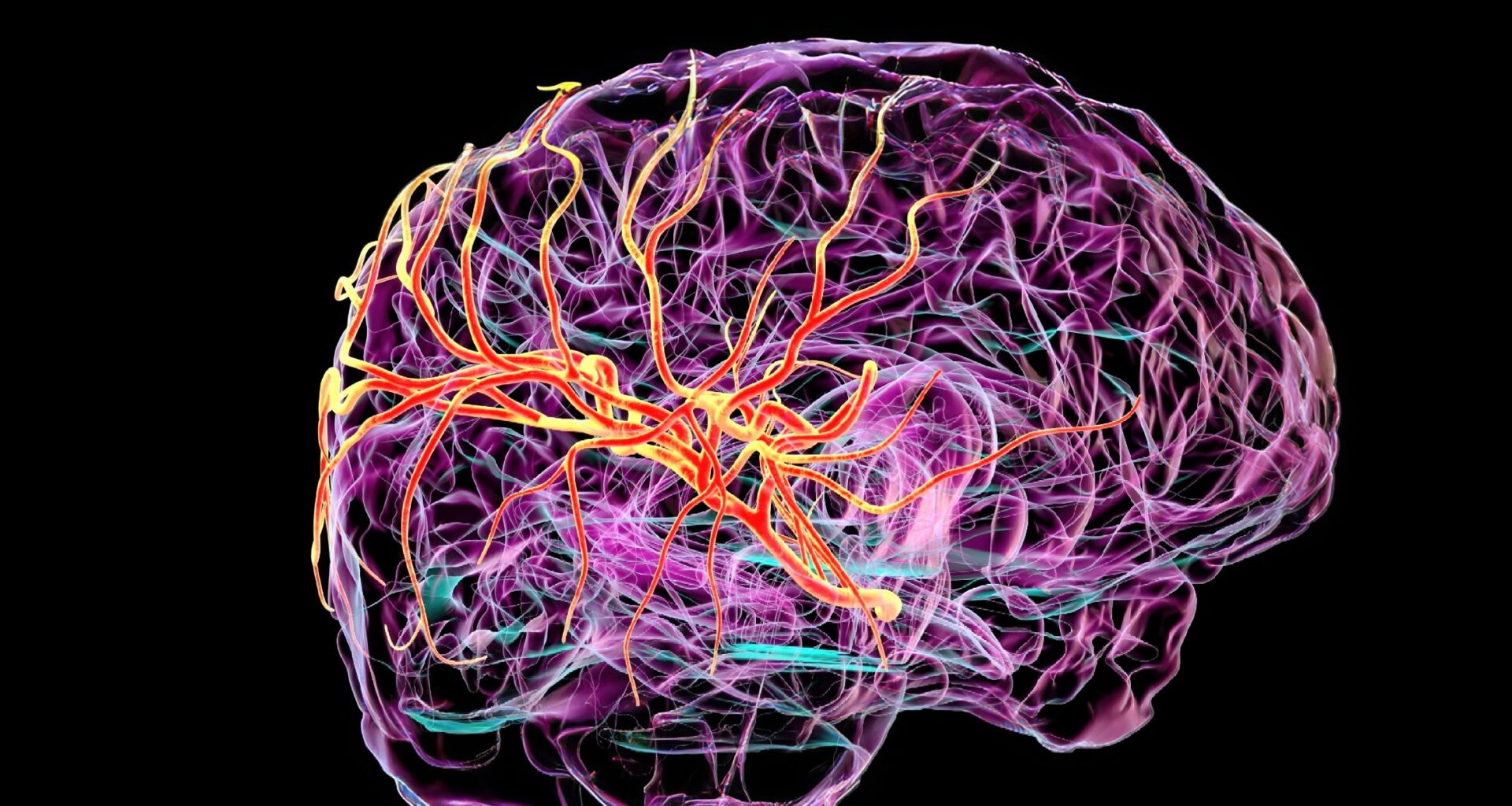 Scientists discover a hidden 'drain' in the human brain