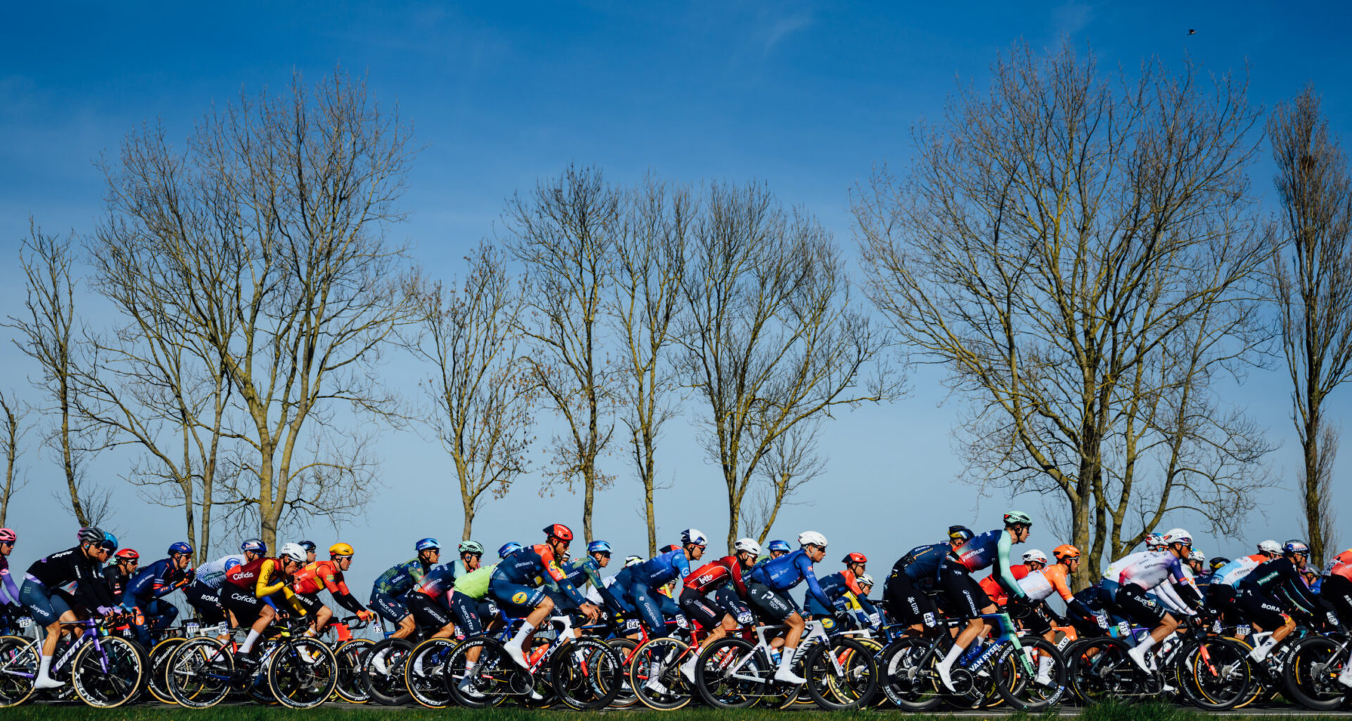 Lidl-Trek strengthens organisation with four senior appointments