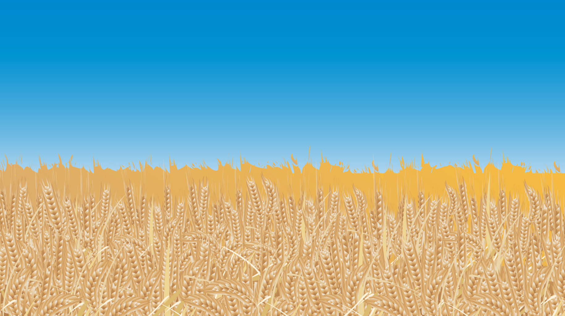 The Blogs: Ukraine's Grain is Ukraine's, Israel Can Fix It | Lesia Dubenko
