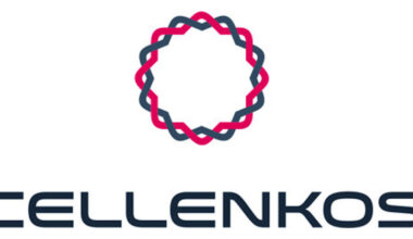 Cellenkos, Inc. Announces FDA Clearance to Initiate Phase 2 Clinical Trial of CK0801 (Allogeneic Cord Blood-Derived Tregs) for Aplastic Anemia