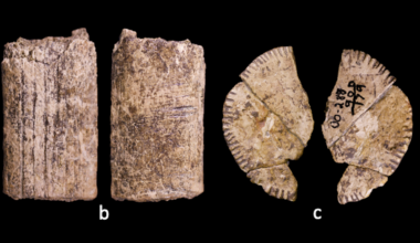 Scientists May Have Uncovered The World's Oldest Dice : ScienceAlert