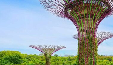 An Introduction to Doing Business in Singapore 2026