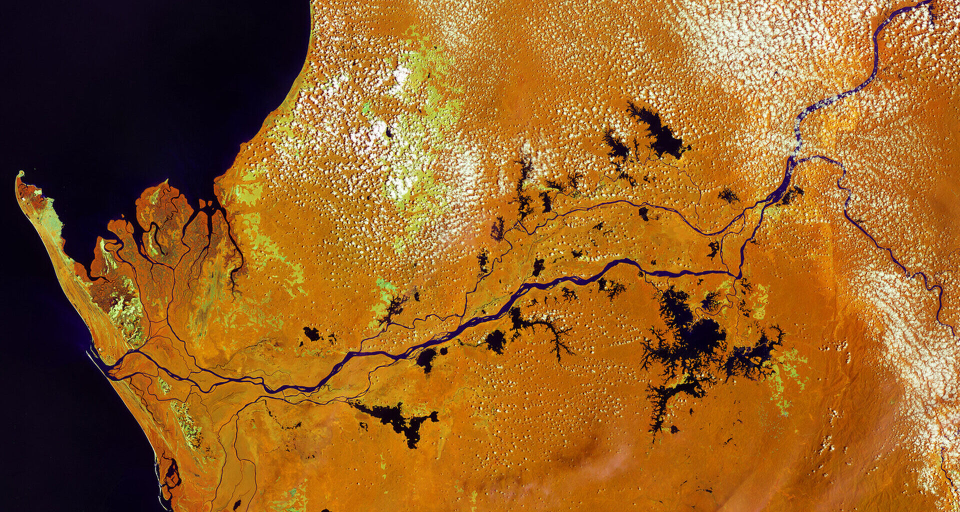 Earth from Space: Land of rainforests