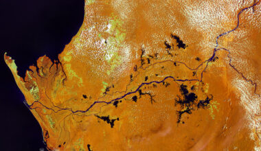 Earth from Space: Land of rainforests