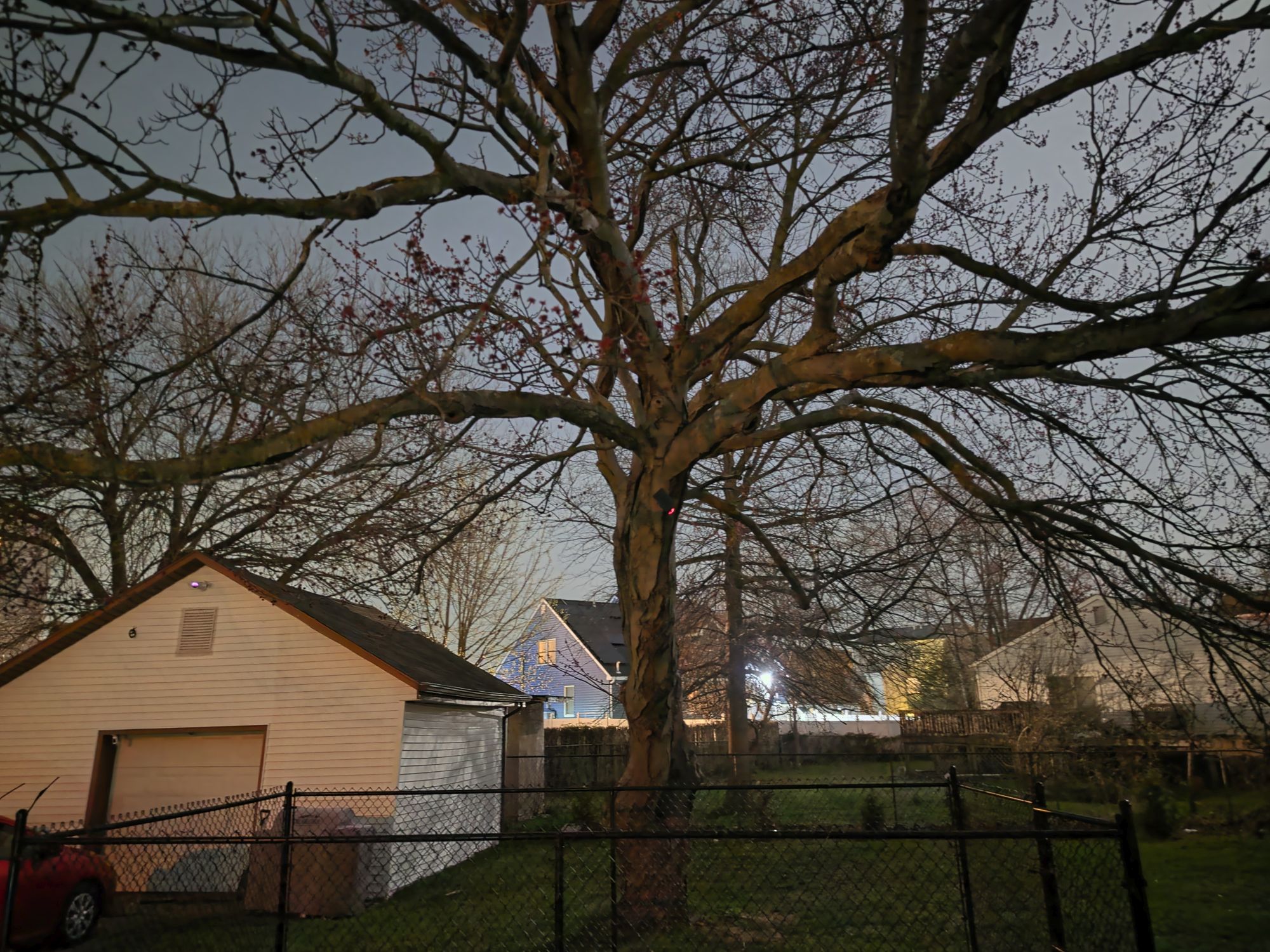 Samsung Galaxy S26 Ultra Standard Mode low light sample.