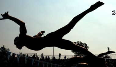 Balancing the Basics, Mastering Macro and Micronutrients for Swimmers