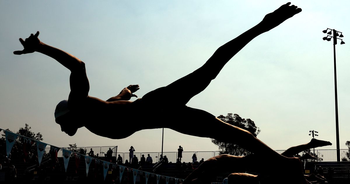 Balancing the Basics, Mastering Macro and Micronutrients for Swimmers