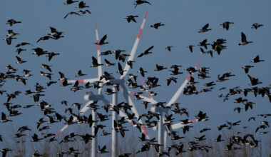 The quiet contradiction at the heart of the energy transition