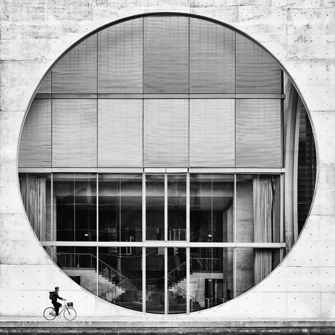 All About Photo Award Winners