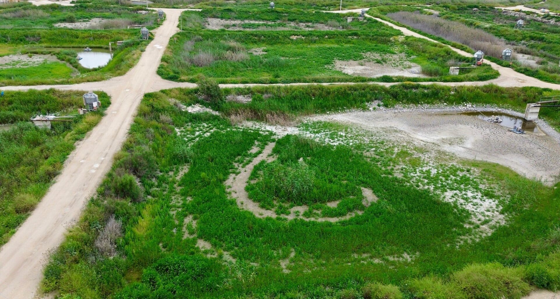 Dried up fishponds in Emek Maayanot, April 2026 (Courtesy)