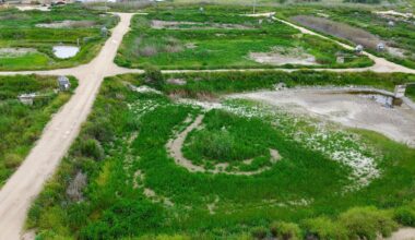 Dried up fishponds in Emek Maayanot, April 2026 (Courtesy)