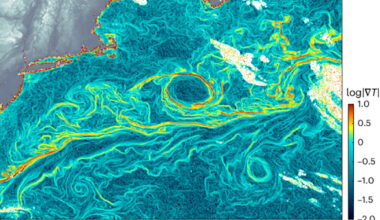 GOFLOW temperature gradient computed in the Gulf Stream region in the Atlantic Ocean. (Image credit: Luc Lenain, Scripps Institution of Oceanography)