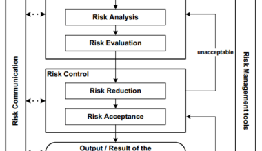 Steps for Risk Identification and Analysis