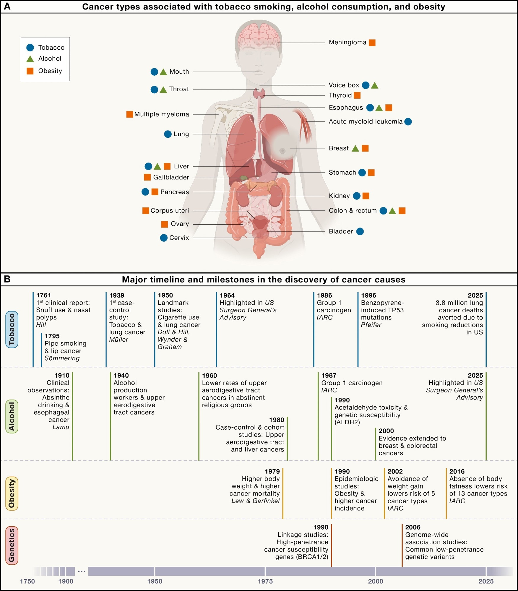 Discovery of major causes of cancer: Tobacco, alcohol, obesity, and genetics