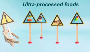 Study: Understandings of ultra-processed foods among adults with responsibility for household food activities in the United Kingdom: a qualitative study. Image Credit: nau2018 / Shutterstock