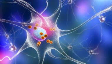 Study: Microbiome signature of Parkinson’s disease in healthy and genetically at-risk individuals. Image Credit: Kateryna Kon / Shutterstock