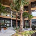 Gosford Regional Library / Lahznimmo Architects - Interior Photography