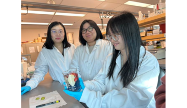 Extends Produce Shelf Life