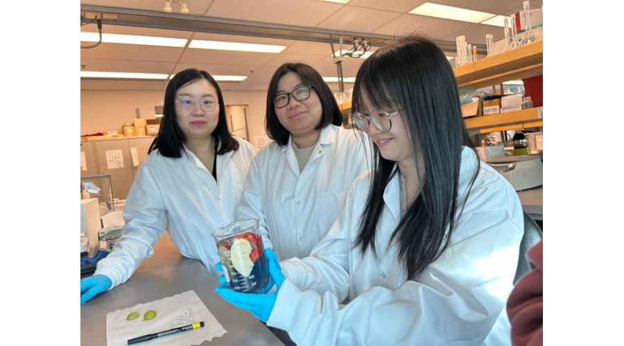 Extends Produce Shelf Life