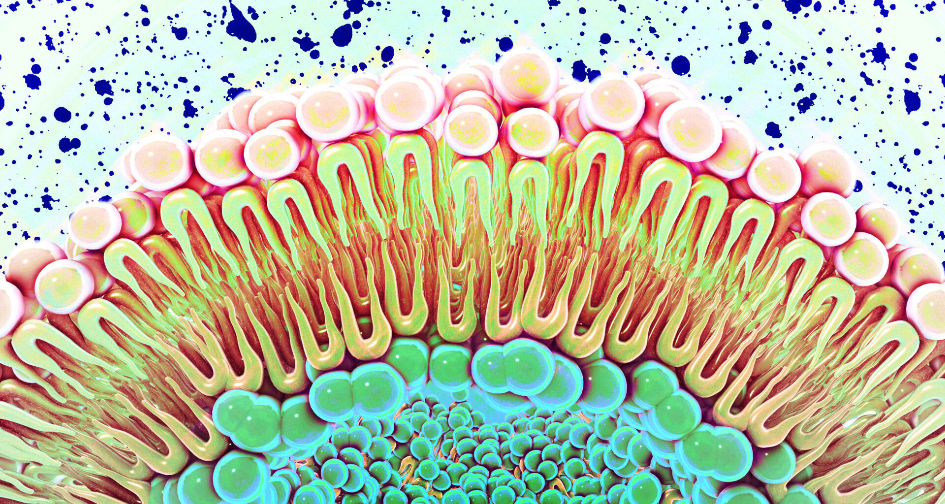 MIT Study Reveals New Role For Cell Membranes