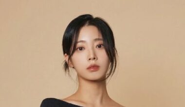 Kim Kyu-ri Cast as Prime Minister's Secretary in 'Perfect Crown' - 조선일보