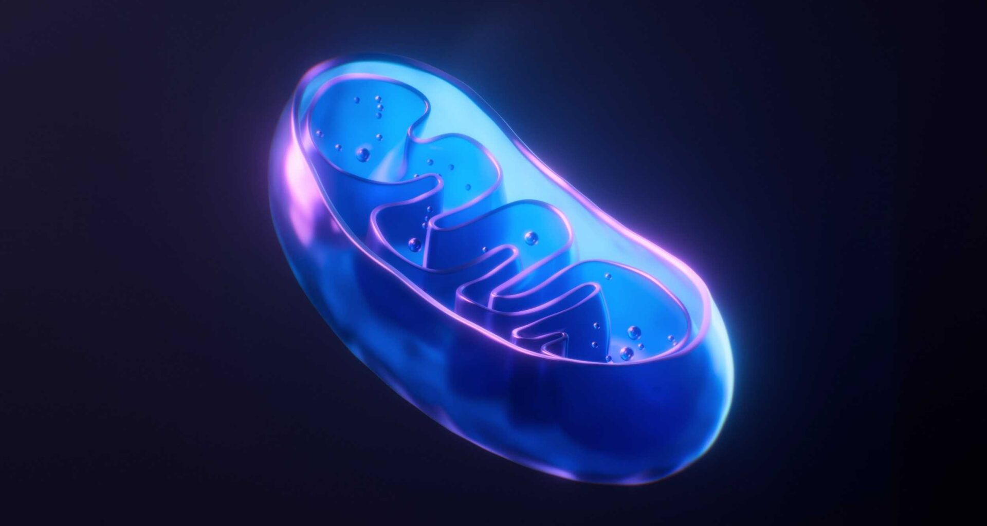 Scientists revive dying cells by injecting healthy mitochondria