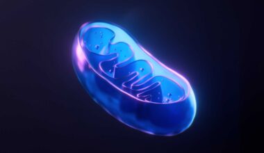 Scientists revive dying cells by injecting healthy mitochondria