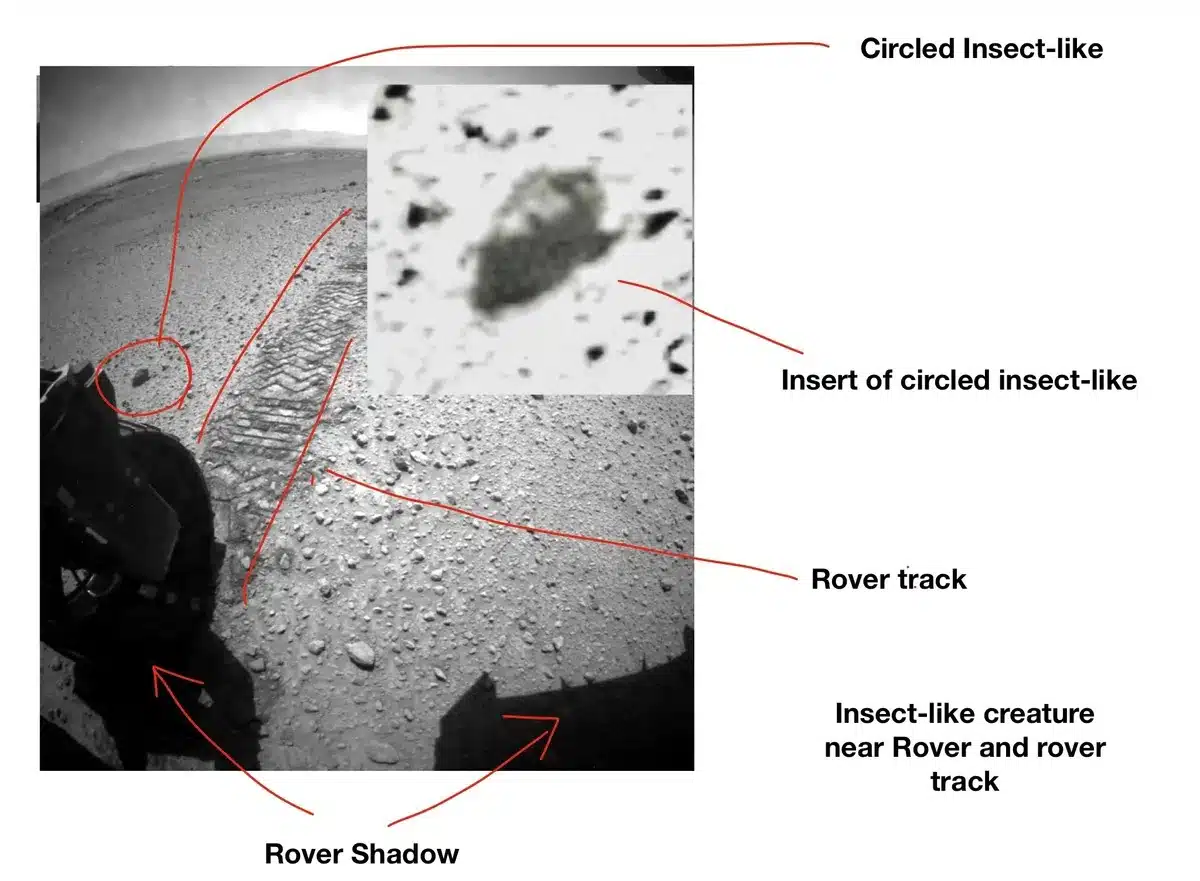 Nasa Rover Photo Highlighting A Small, Ambiguous Object Interpreted As A Possible Biological Shape.