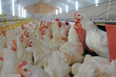 NFU Poultry board chair Will Raw warned that producers cannot afford to let their guard down. Photo: Boerderij