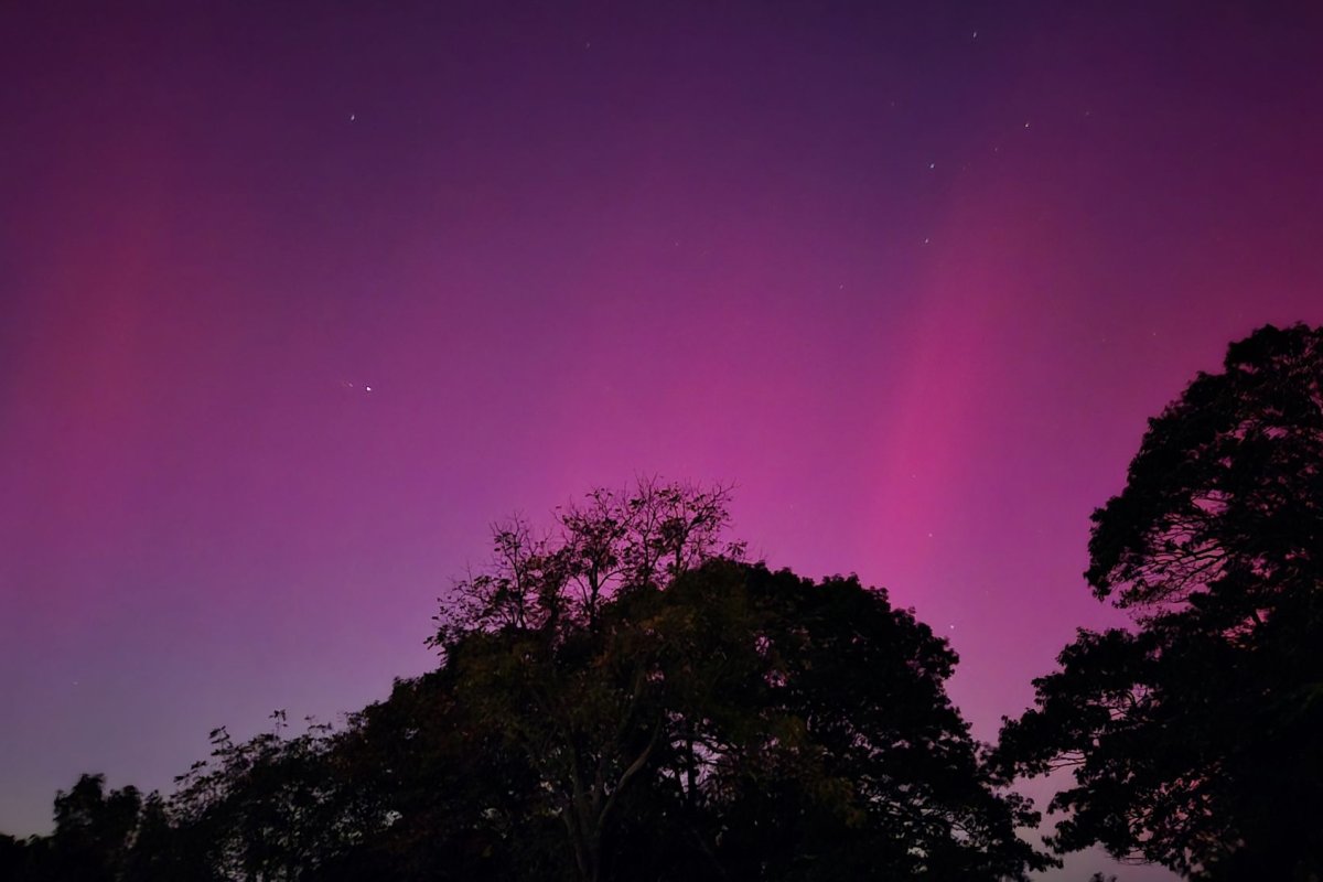 Nearly one-third of U.S. may see aurora borealis overnight