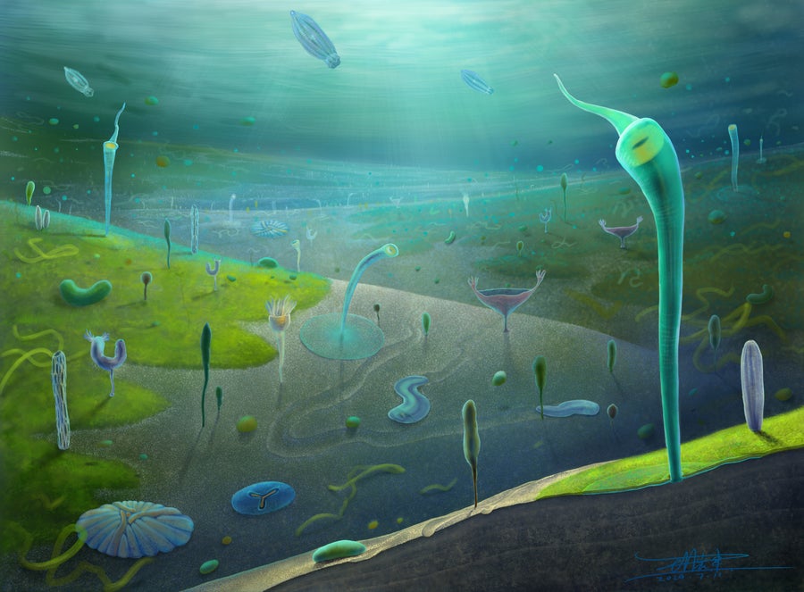wormy and flat organisms populate the seafloor