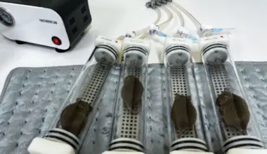 A breath test reveals infections deep inside tissues