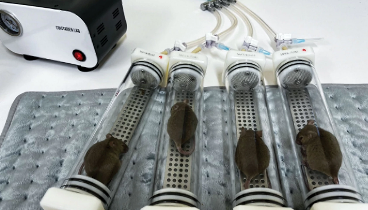 A breath test reveals infections deep inside tissues