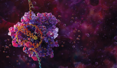 Methylation-sensitive Cas9 can selectively target DNA in tumor cells