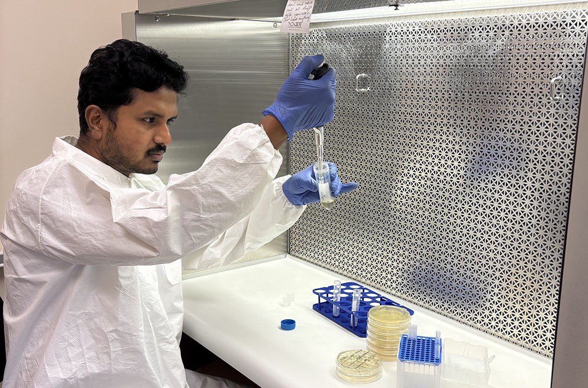 A scientist works with DNA samples in a lab.