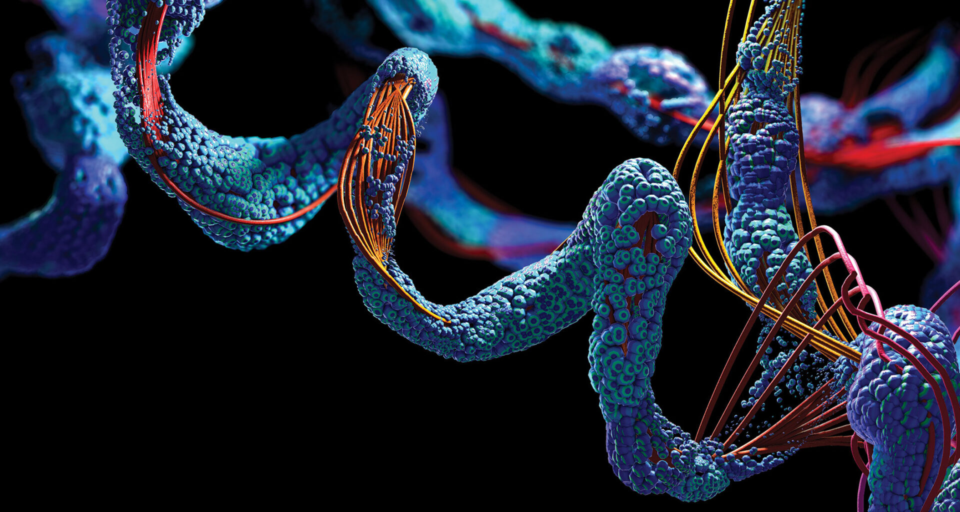 Natural protein sequences represent only a fraction of what’s theoretically possible