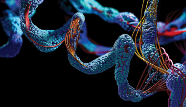 Natural protein sequences represent only a fraction of what’s theoretically possible