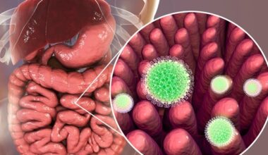 Rising rotavirus cases highlight importance of childhood vaccination