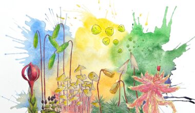 Airborne DNA reveals shifting reproductive timing in bryophytes