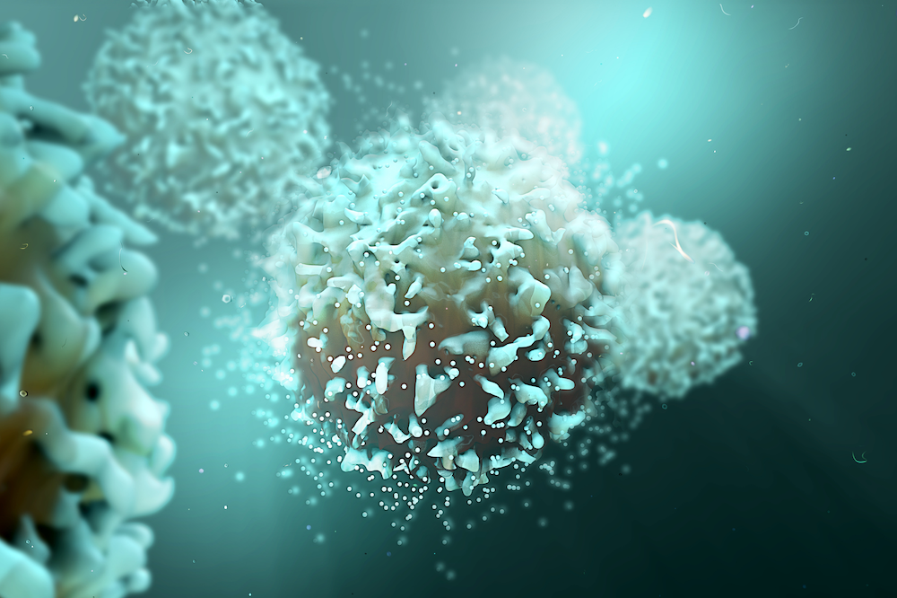 Transcription Factors Form Continuous ‘Circuit’ That Regulates T-cell Exhaustion