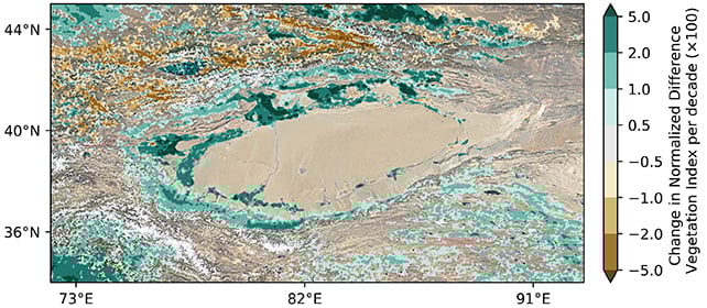Taklamakan Desert Foresrt Cold Spots