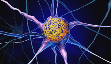 Common Vitamin May Reduce Buildup of Alzheimer's Proteins, Study Finds : ScienceAlert