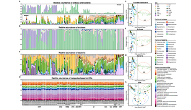 The Recovery Of 12,789 Genomes Revealed The Diversity, Function, And Microbial Interactions Of The Geothermal Spring Microbiome